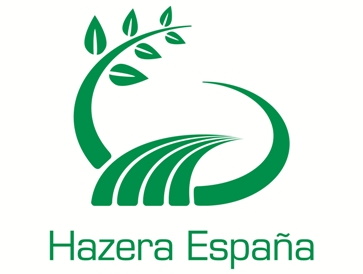 Hazera