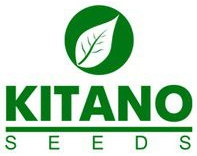 Kitano Seeds