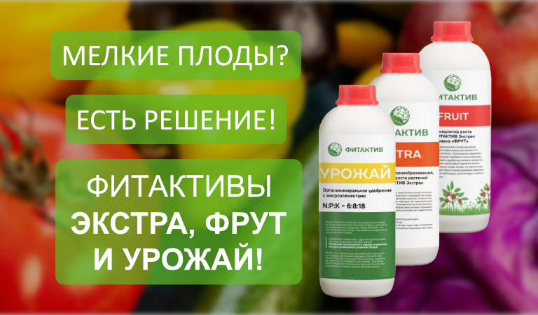 Фитактивы