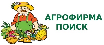 Поиск